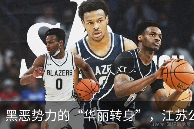 黑恶势力的“华丽转身”，江苏公安来个“收割机”行动！